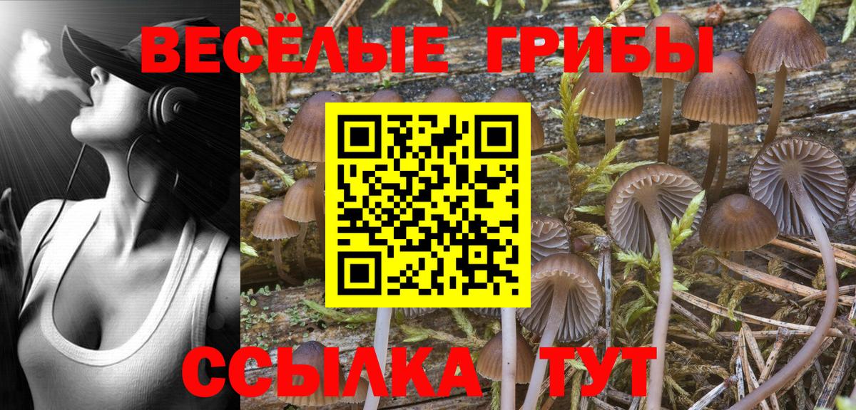 Алексеевка  Псилоцибиновые грибы MAGIC MUSHROOMS  Вход с VPN  Псилоцибиновые грибы ЛСД 