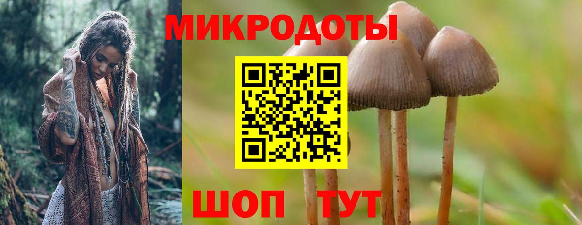 Псилоцибиновые грибы Cubensis Алексеевка